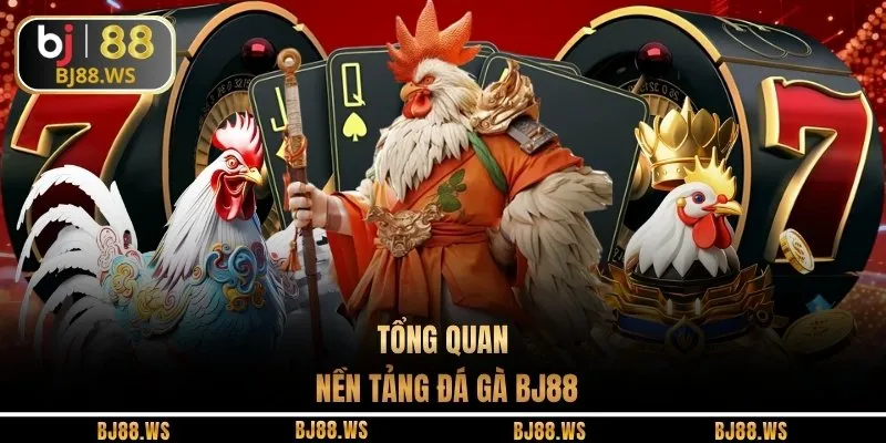 Tổng quan nền tảng đá gà BJ88